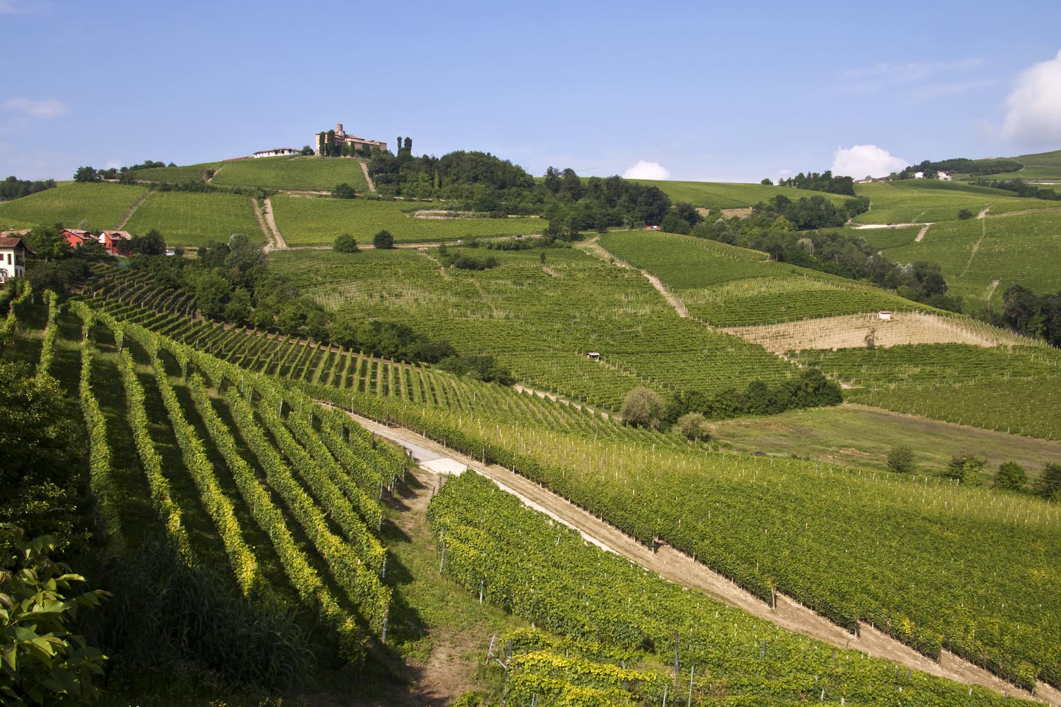 LANGHE E MONFERRATO